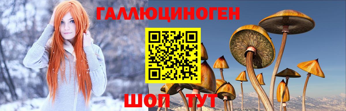 Можга  Псилоцибиновые грибы Magic Shrooms  Галлюциногенные грибы Psilocybine cubensis  Вход с VPN 